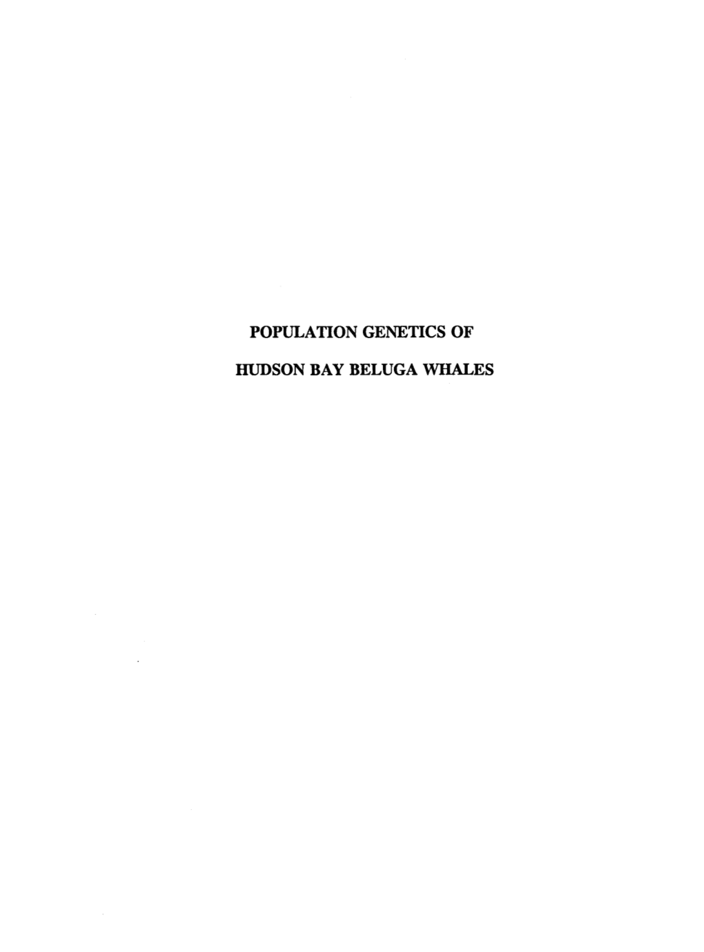 Population Genetics of Hudson Bay Beluga Whales