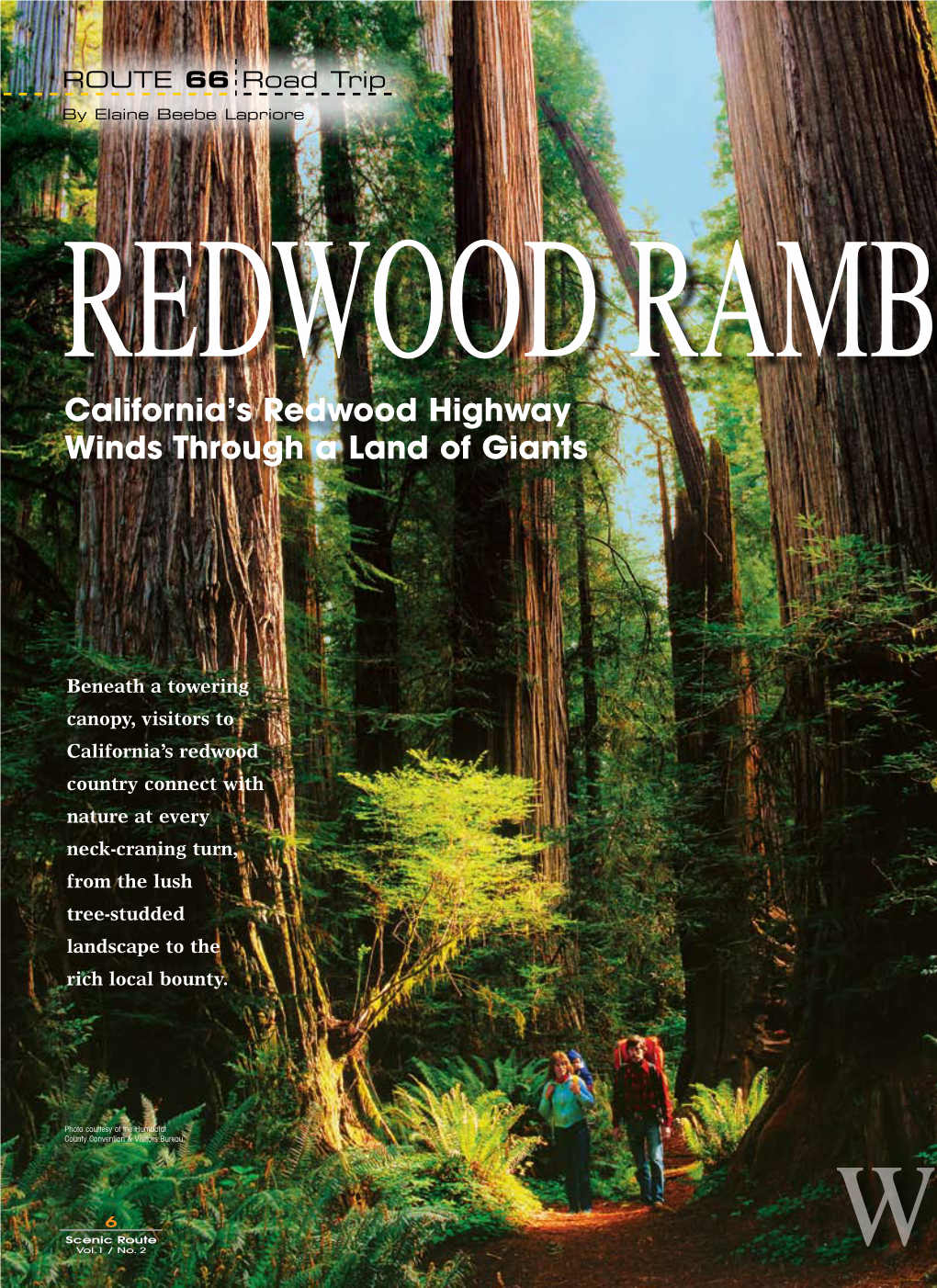 California's Redwood Highway Winds Through a Land of Giants