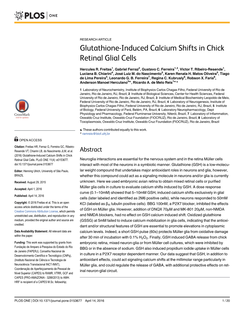 Glutathione-Induced Calcium Shifts in Chick Retinal Glial Cells