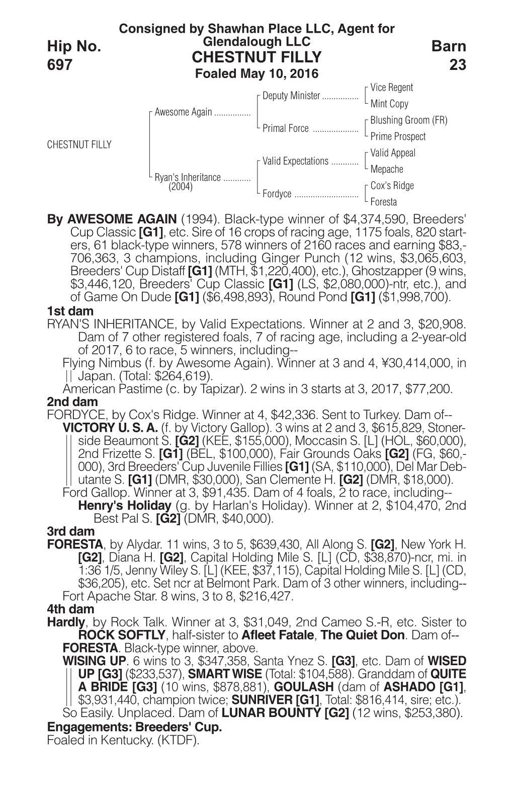 CHESTNUT FILLY Barn 23 Hip No