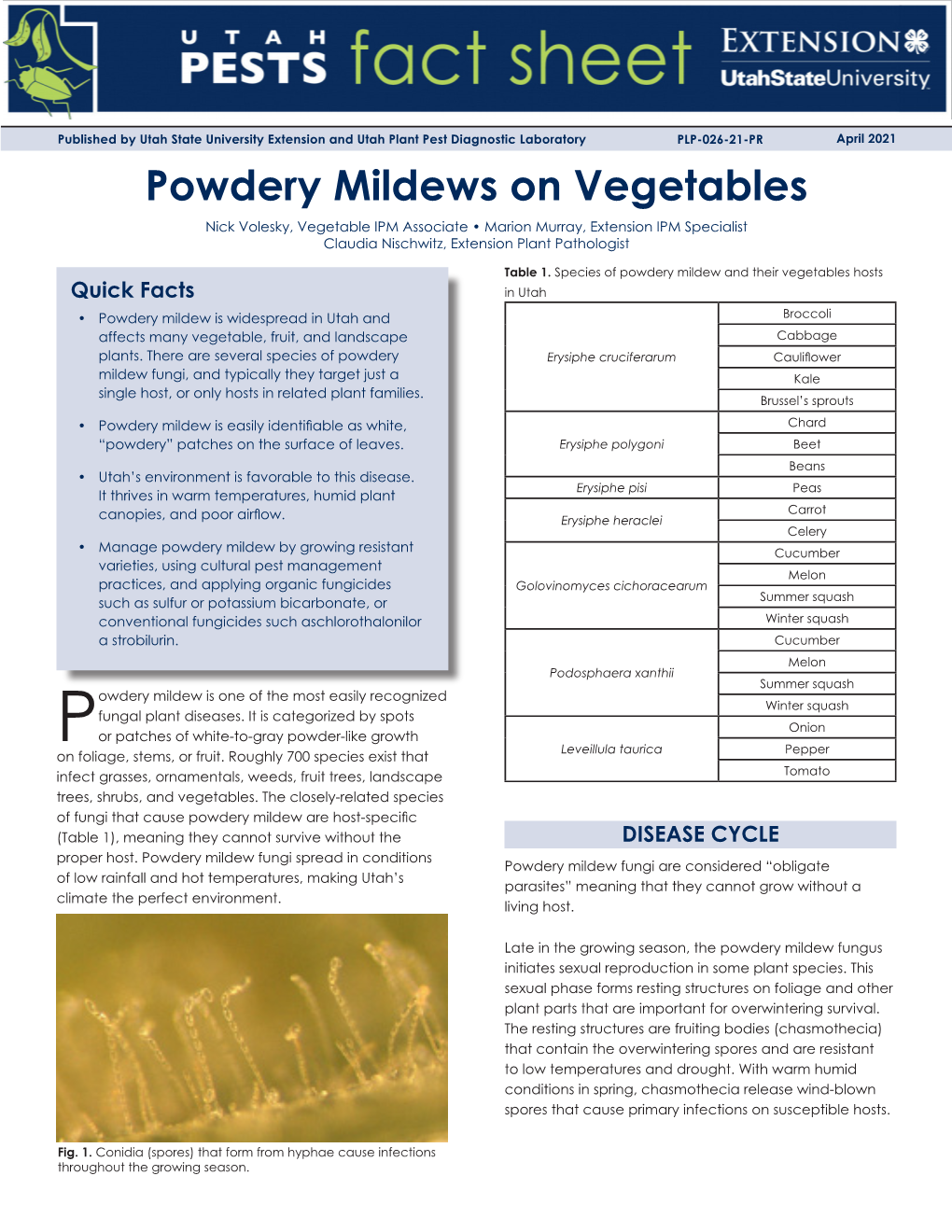 Powdery Mildews on Vegetables Nick Volesky, Vegetable IPM Associate • Marion Murray, Extension IPM Specialist Claudia Nischwitz, Extension Plant Pathologist