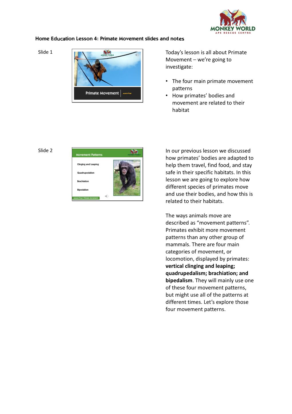 The Four Main Primate Movement Patterns • How Primates’ Bodies and Movement Are Related to Their Habitat