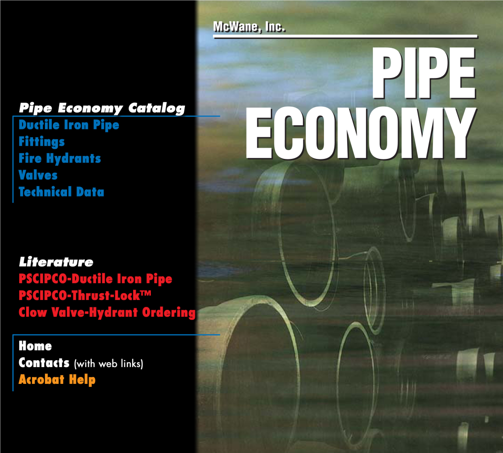 Pipe-Mcwane-Pipe-Economy.Pdf
