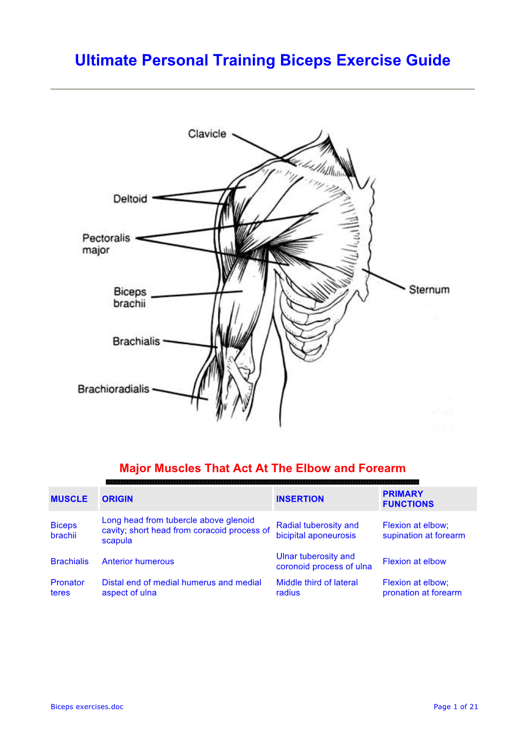 Ultimate Personal Training Biceps Exercise Guide