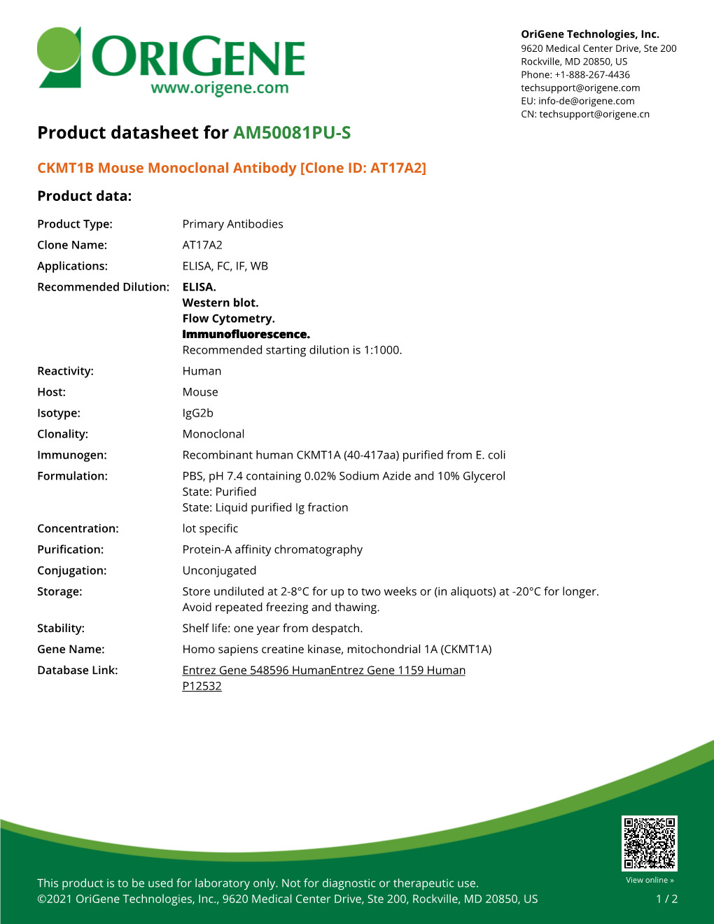 CKMT1B Mouse Monoclonal Antibody [Clone ID: AT17A2] Product Data