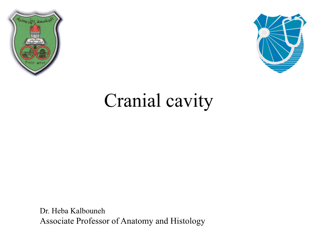 Cranial Cavity