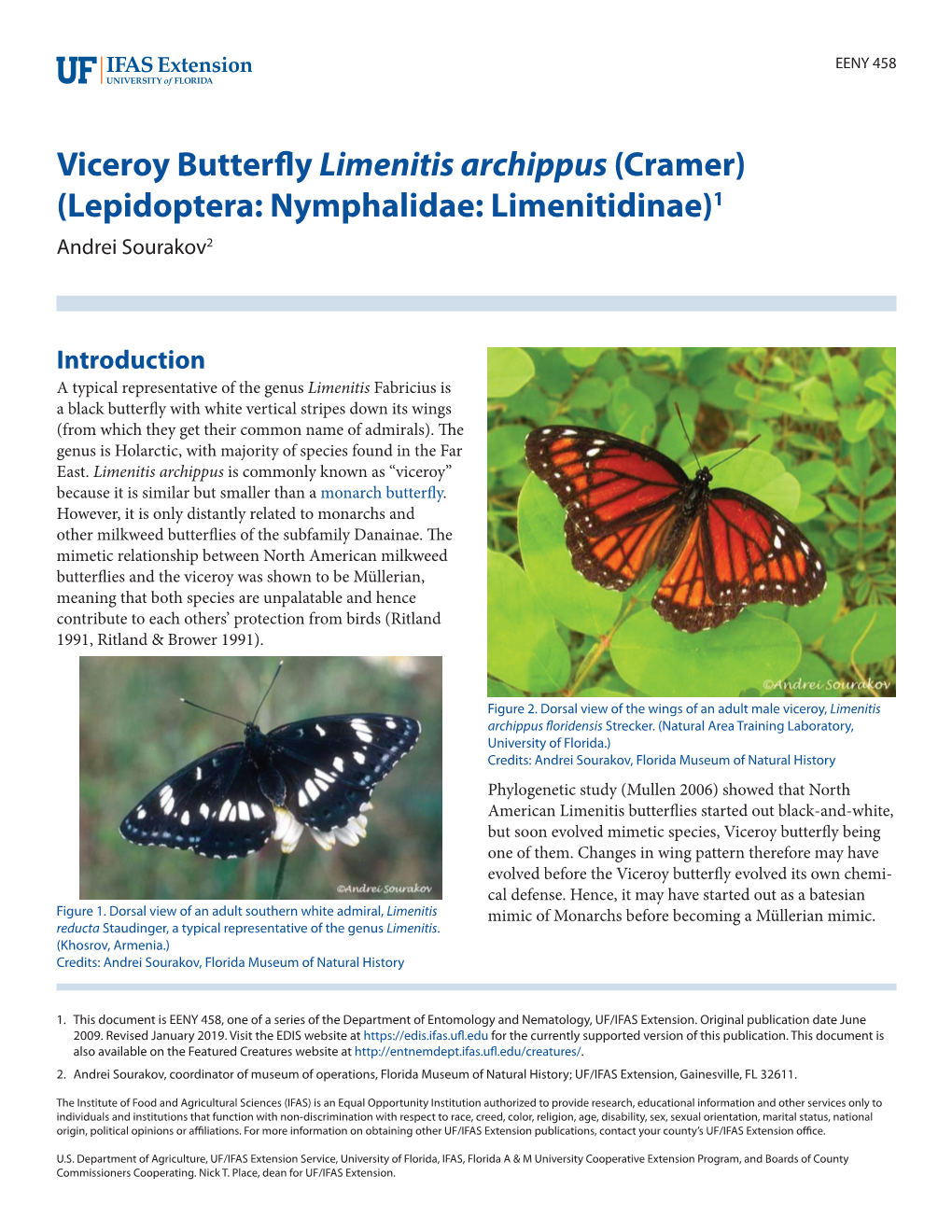 Viceroy Butterfly Limenitis Archippus (Cramer) (Lepidoptera: Nymphalidae: Limenitidinae)1 Andrei Sourakov2