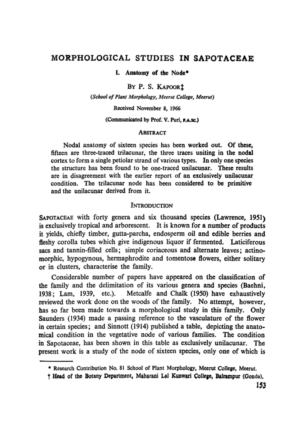 Morphological Studies in Sapotaceae I