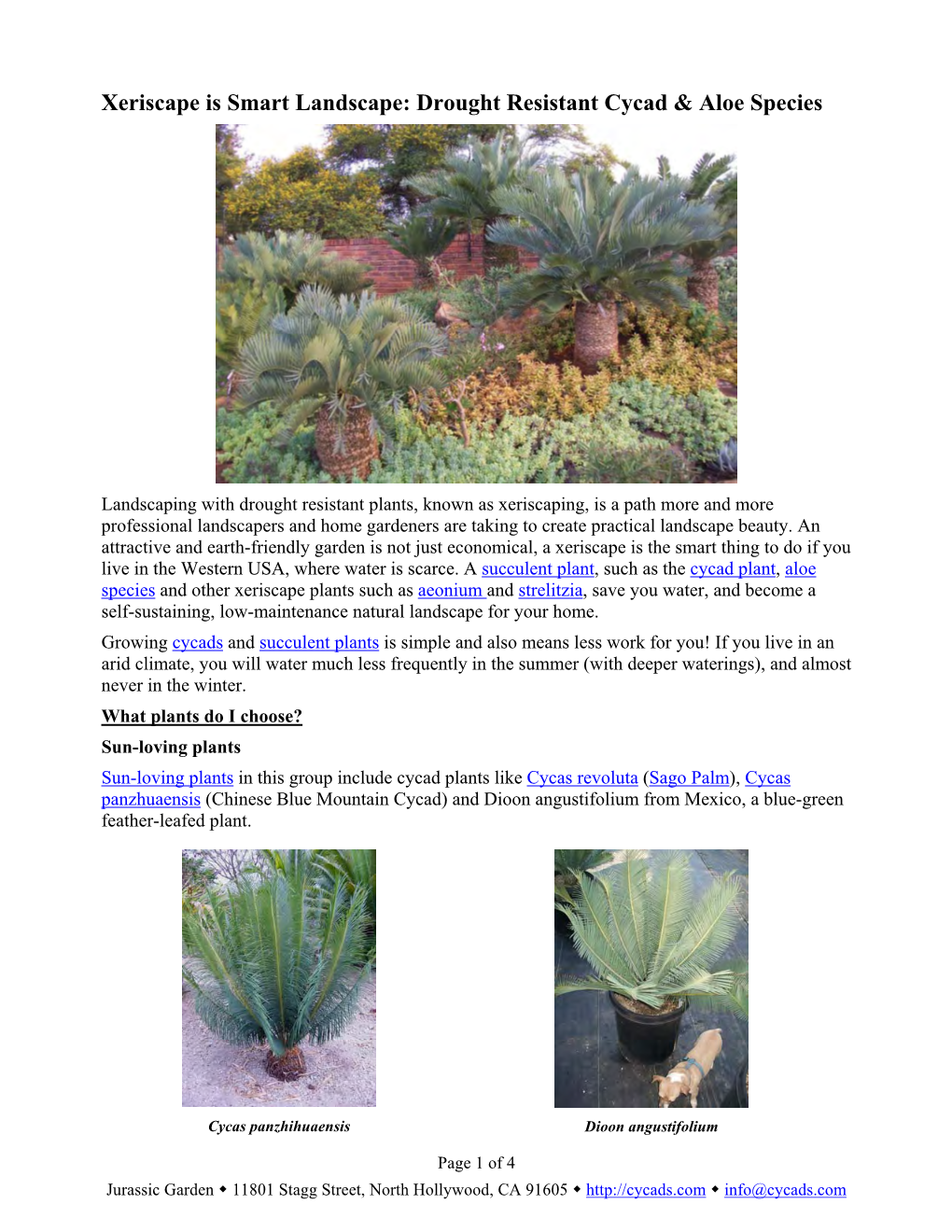 Xeriscape Is Smart Landscape: Drought Resistant Cycad & Aloe Species
