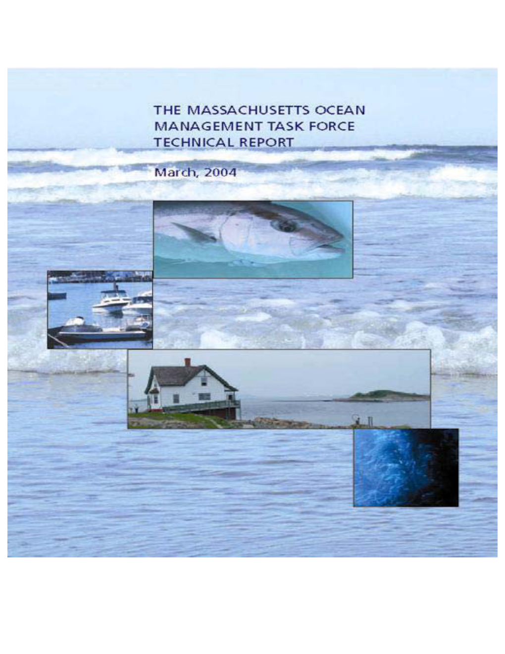 Massachusetts Ocean Management Task Force Technical Report