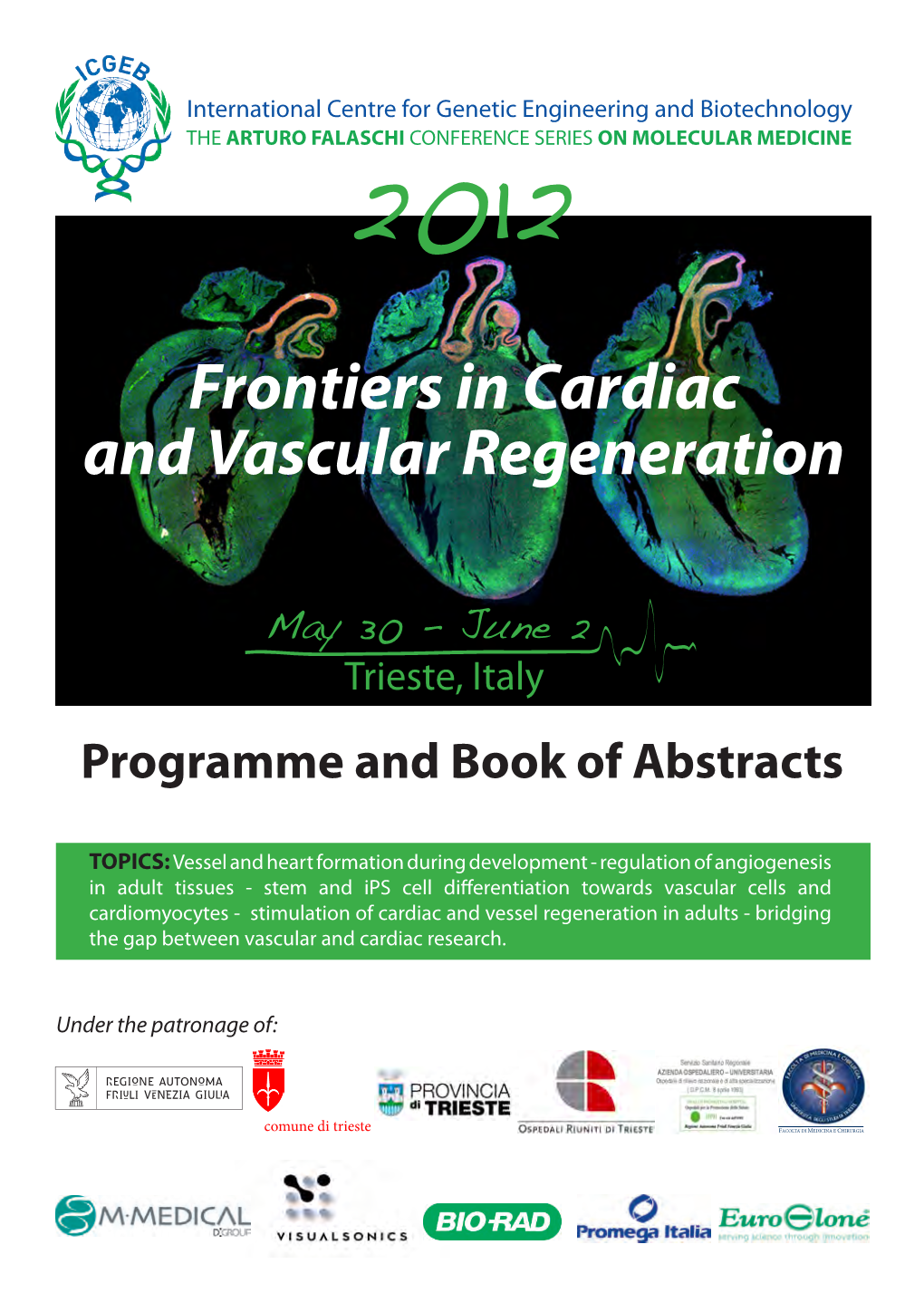 Frontiers in Cardiac and Vascular Regeneration
