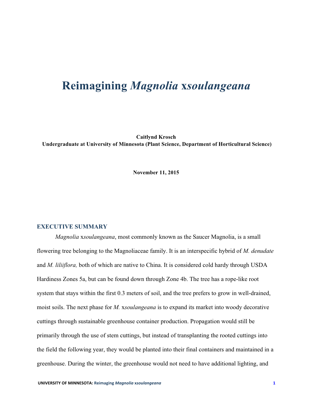 Reimagining Magnolia Xsoulangeana