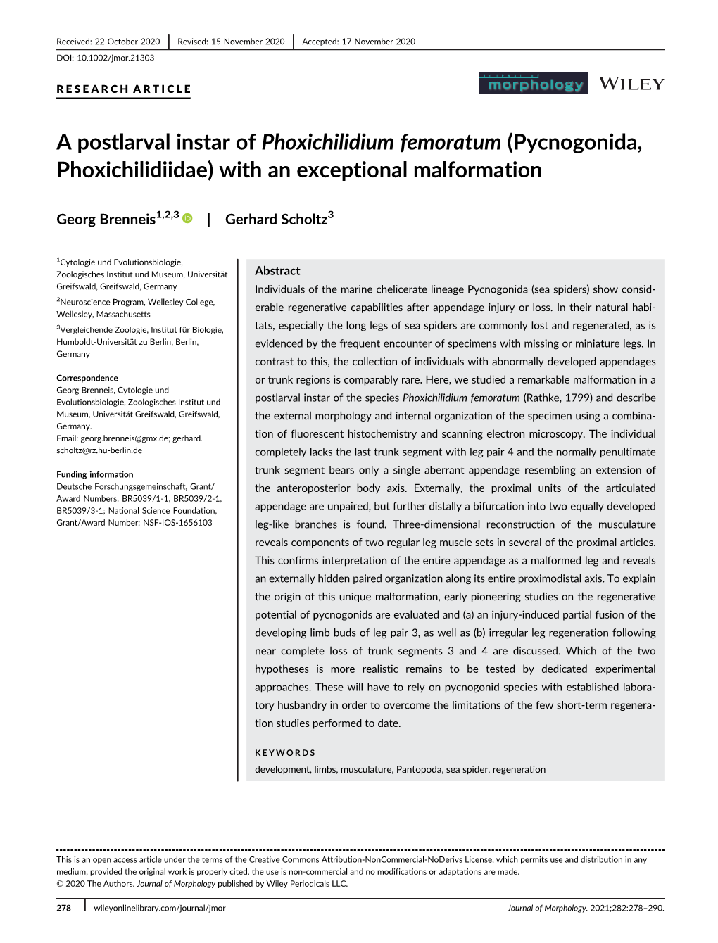 A Postlarval Instar of Phoxichilidium Femoratum (Pycnogonida, Phoxichilidiidae) with an Exceptional Malformation