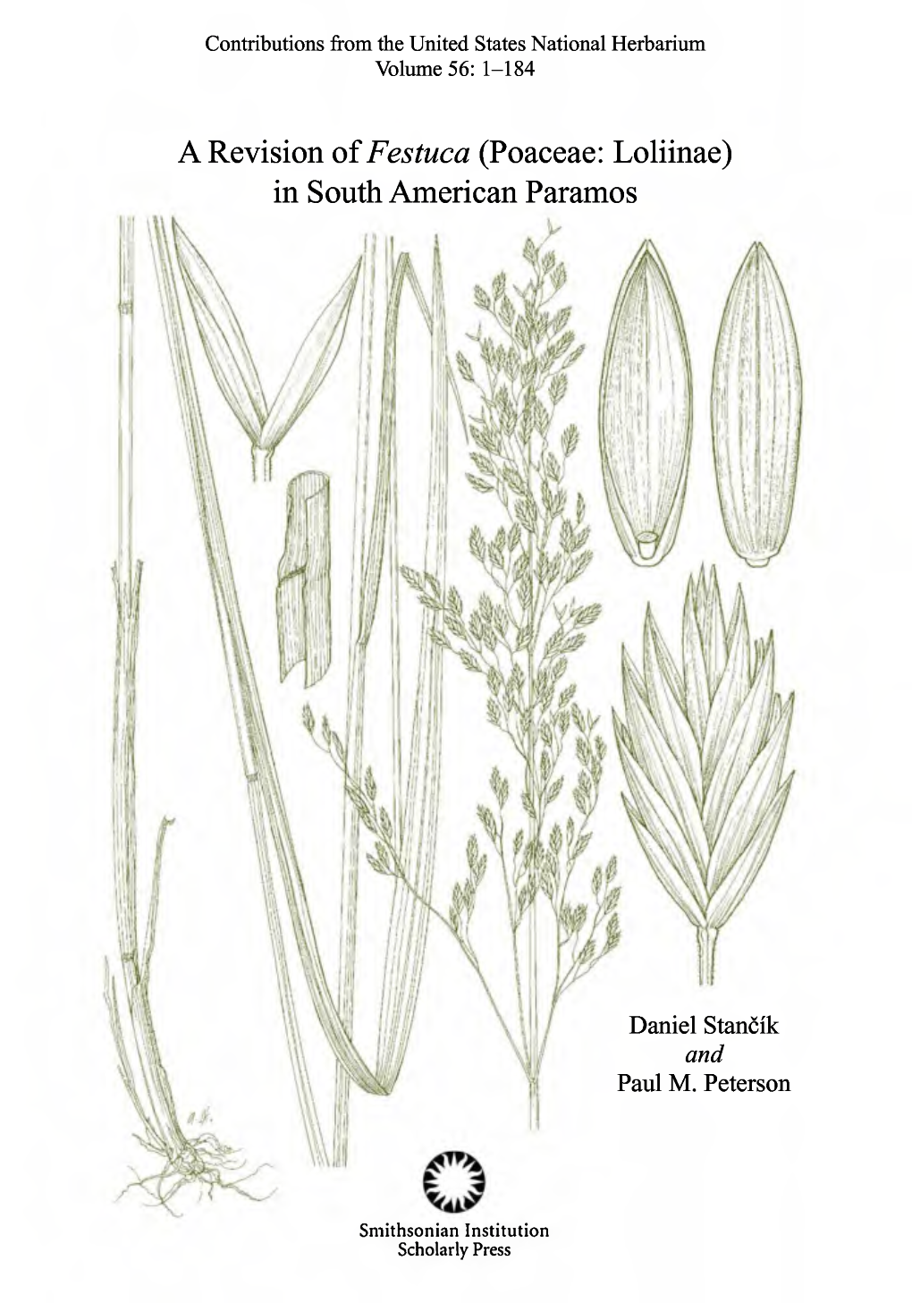 A Revision of Fes Tuca (Poaceae: Loliinae) in South American Paramos