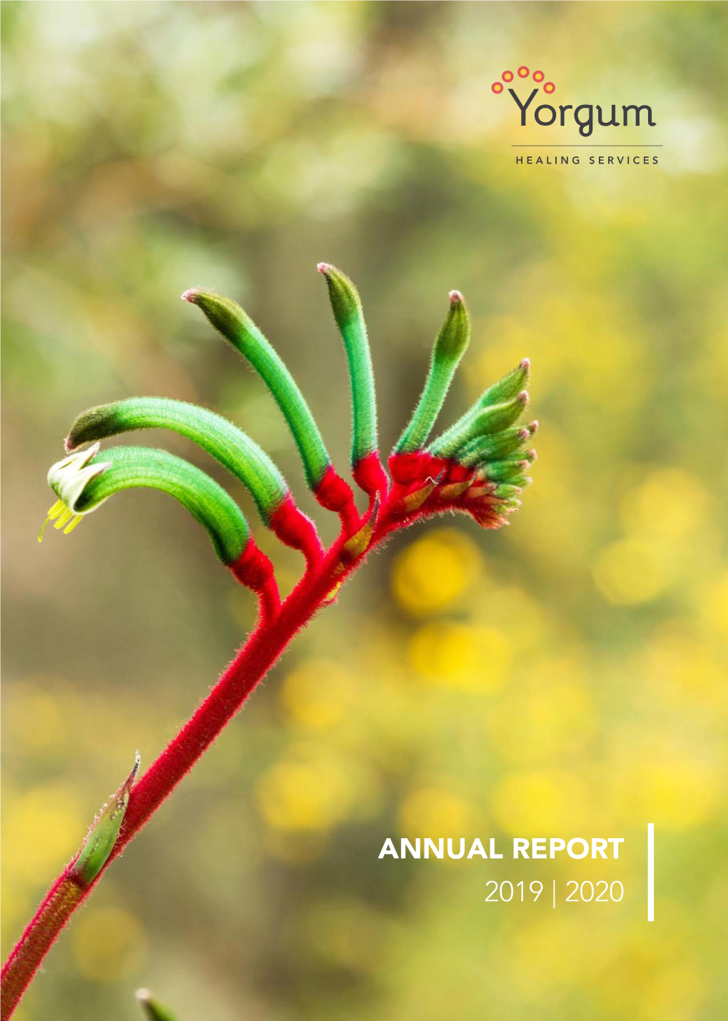 ANNUAL REPORT 2019 | 2020 4 the Story So Far