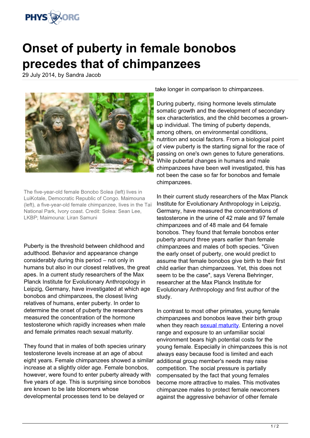 Onset of Puberty in Female Bonobos Precedes That of Chimpanzees 29 July 2014, by Sandra Jacob