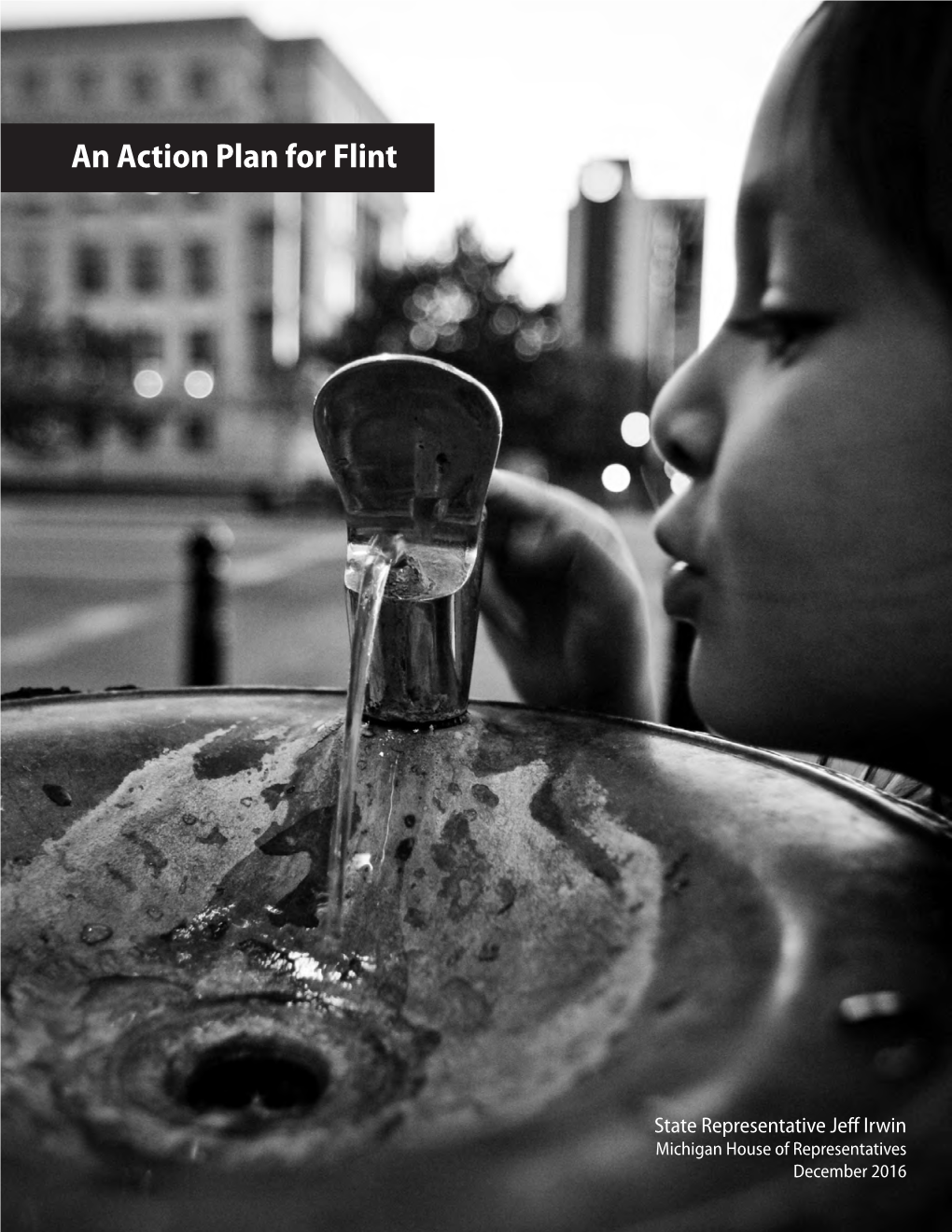 An Action Plan for Flint