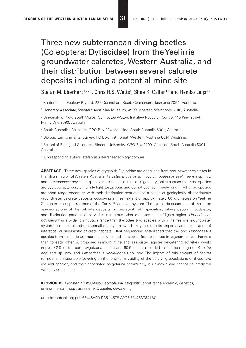 Three New Subterranean Diving Beetles (Coleoptera: Dytiscidae)