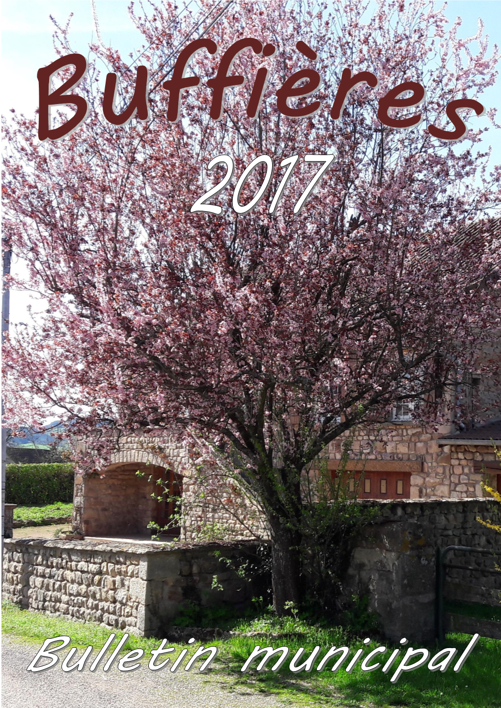 Bulletin Municipal 2017