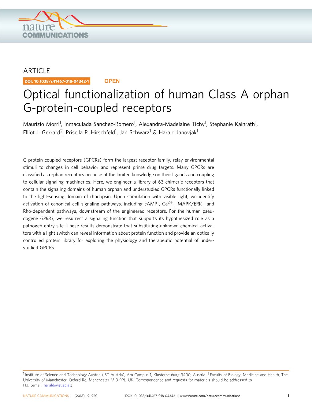 Optical Functionalization of Human Class a Orphan G-Protein-Coupled Receptors