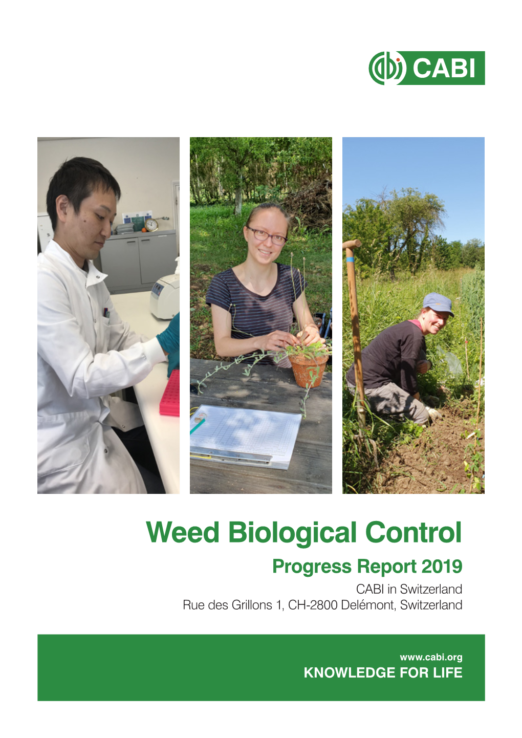 Weed Biological Control Progress Report 2019 CABI in Switzerland Rue Des Grillons 1, CH-2800 Delémont, Switzerland