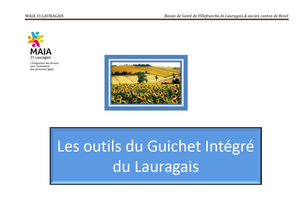 MAIA 31 LAURAGAIS Bassin De Santé De Villefranche De Lauragais & Ancien Canton De Revel