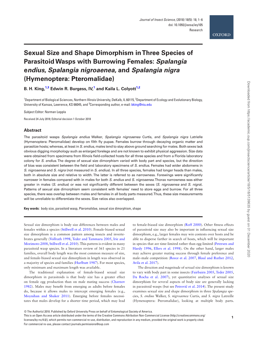 Sexual Size and Shape Dimorphism in Three Species of Parasitoid Wasps with Burrowing Females: Spalangia Endius, Spalangia Nigroaenea, and Spalangia Nigra