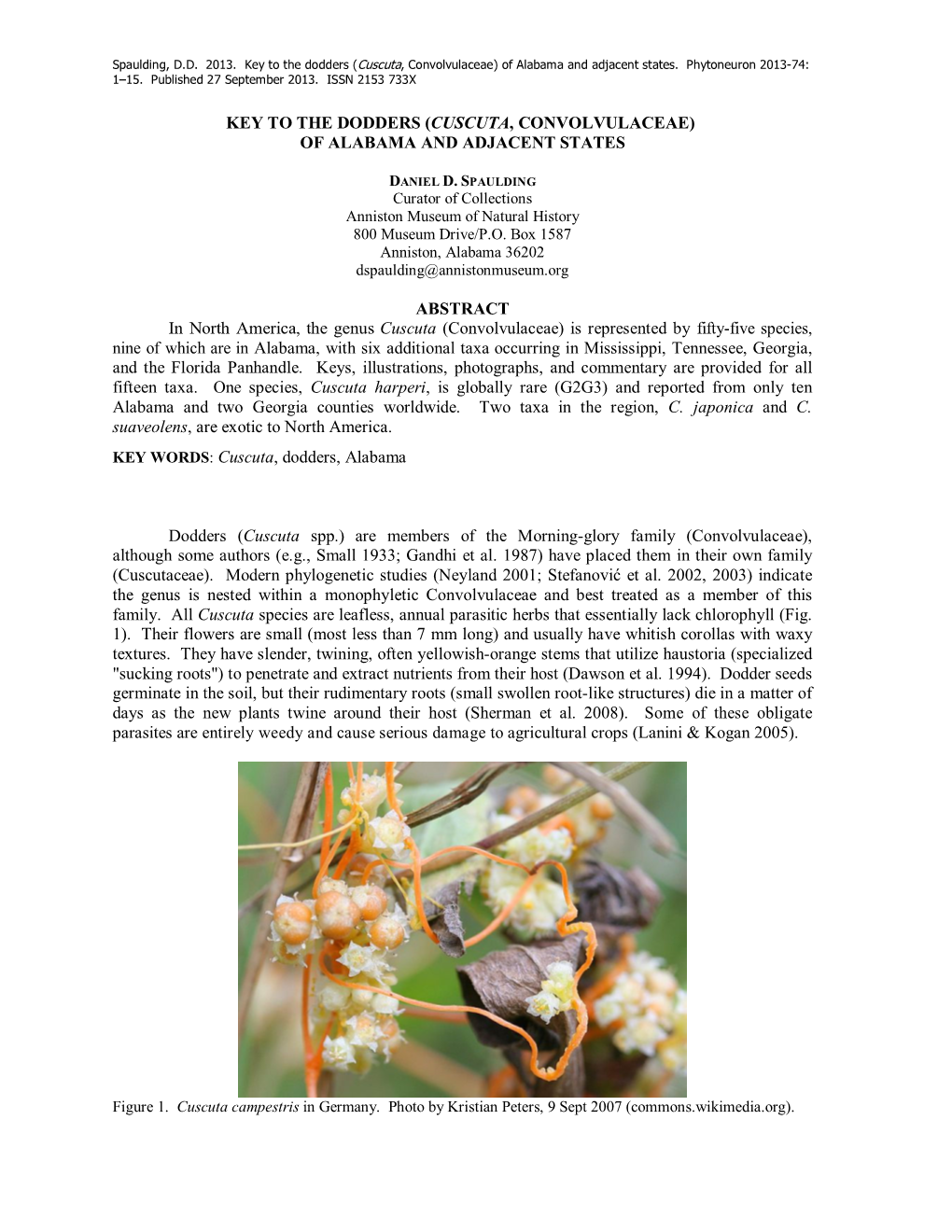 Key to the Dodders (Cuscuta, Convolvulaceae) of Alabama and Adjacent States