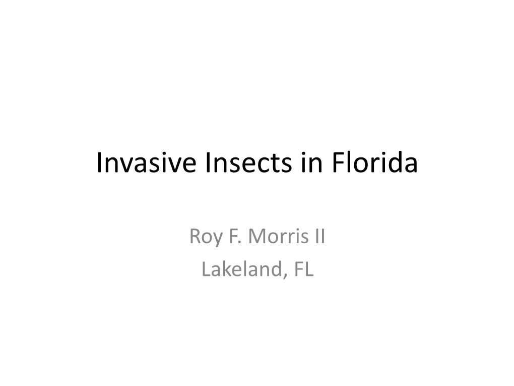 Invasive Insects in Florida