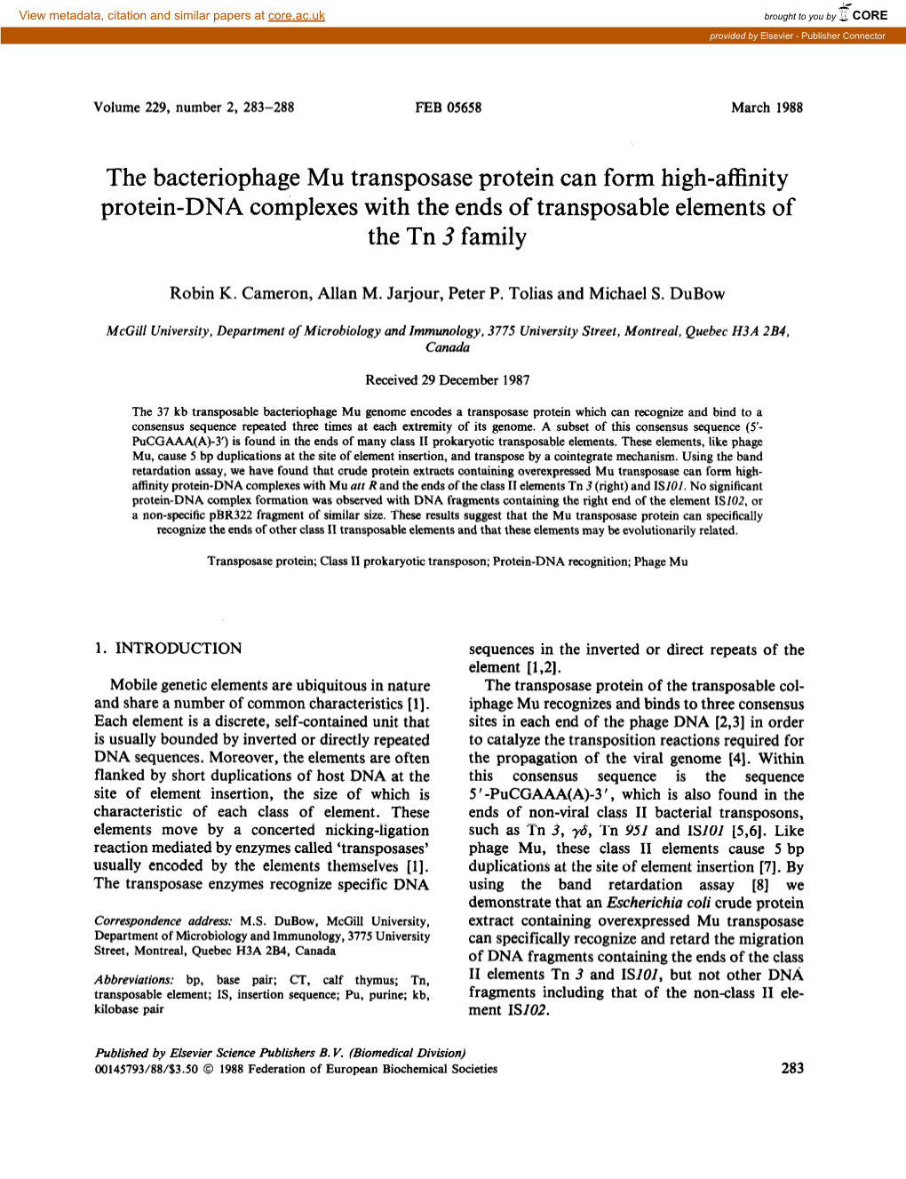 The Bacteriophage Mu Transposase Protein Can Form High-Affinity Protein-DNA Complexes with the Ends of Transposable Elements of the Tn 3 Family