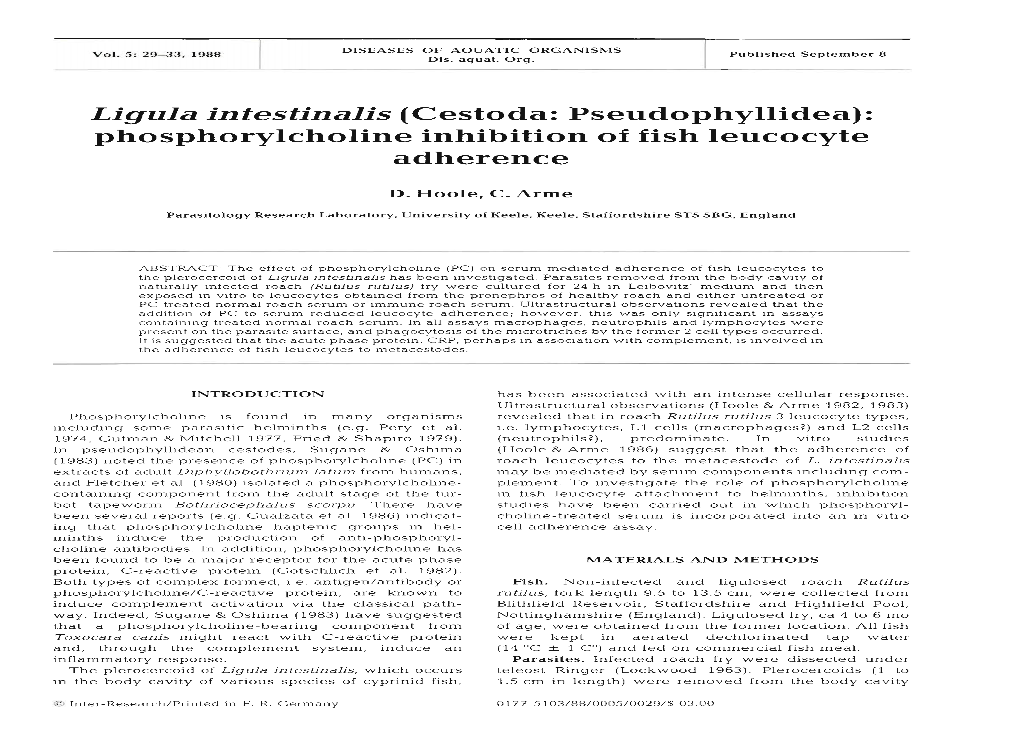 Ligula Intestinalis (Cestoda: Pseudophyllidea): Phosphorylcholine Inhibition of Fish Leucocyte Adherence