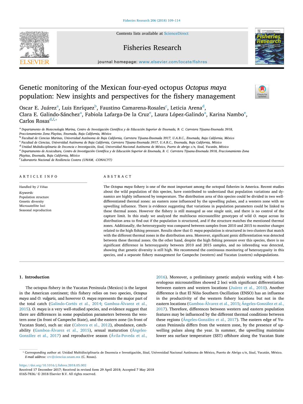 Genetic Monitoring of the Mexican Four-Eyed Octopus Octopus Maya T Population: New Insights and Perspectives for the ﬁshery Management