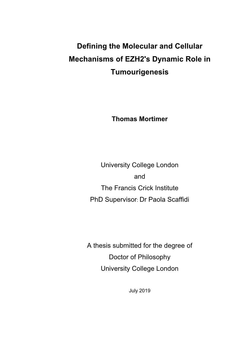 Defining the Molecular and Cellular Mechanisms of EZH2's Dynamic Role In