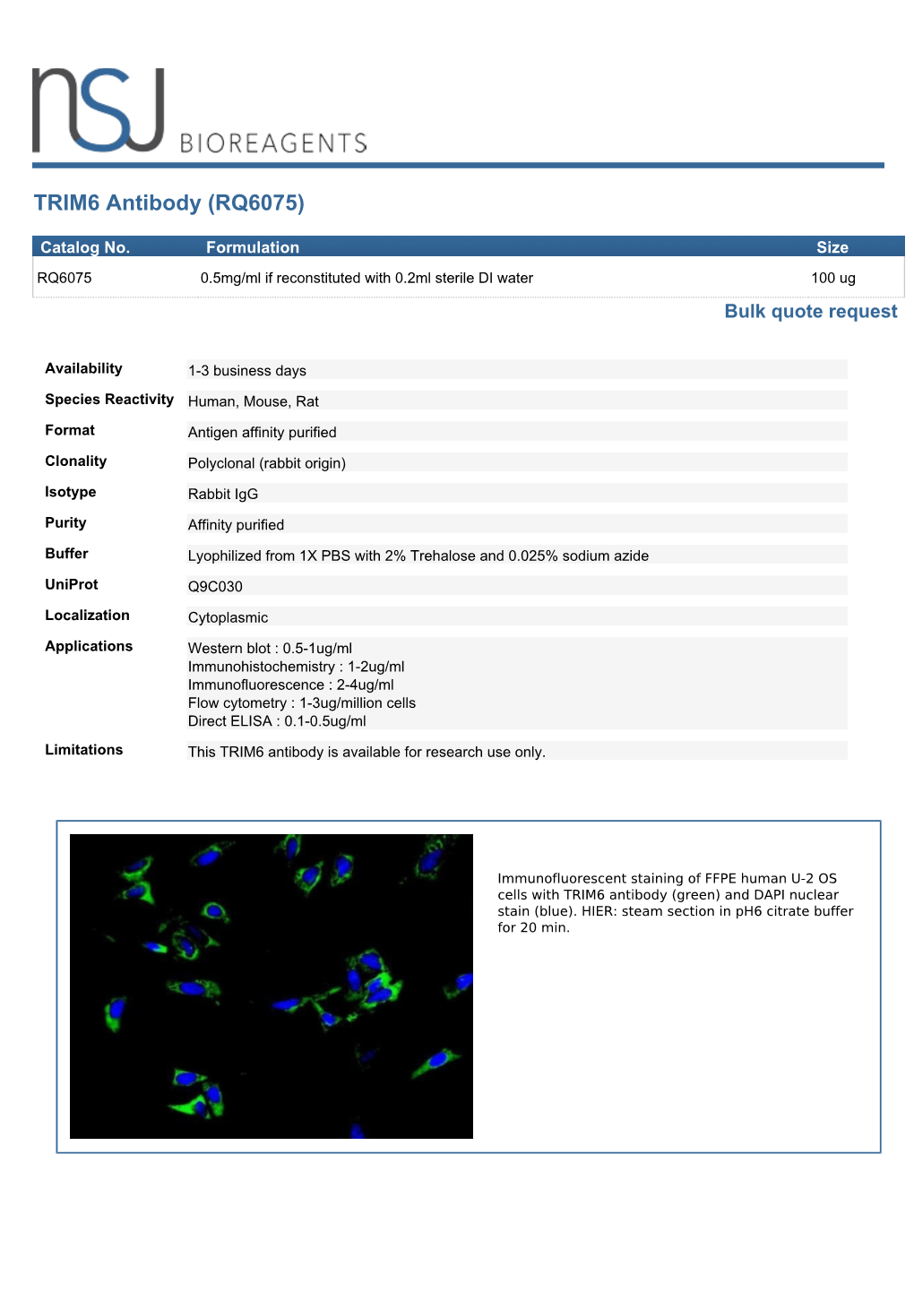 TRIM6 Antibody (RQ6075)