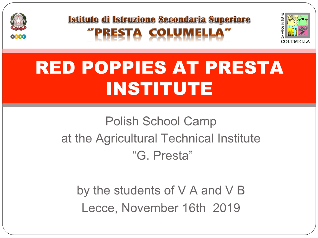 Red Poppies at Presta Institute