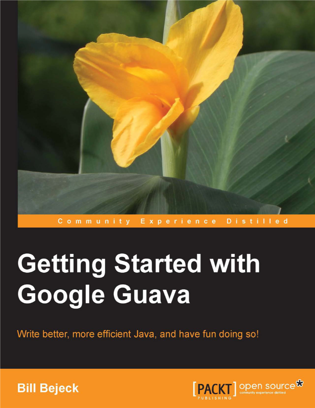 Introducing Google Guava