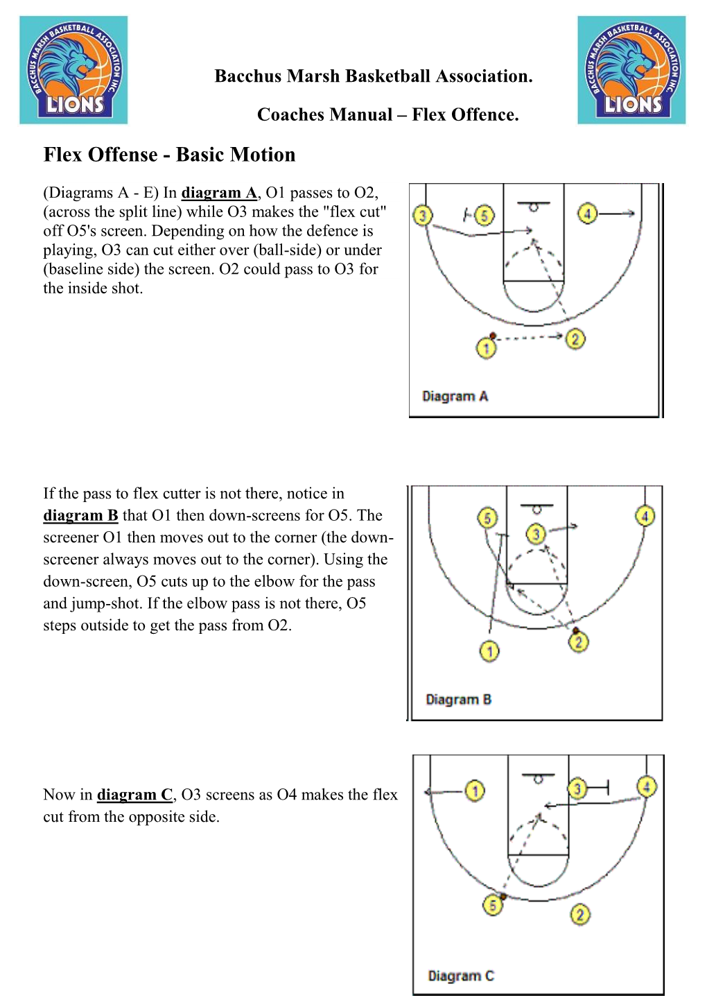 Flex Offense - Basic Motion