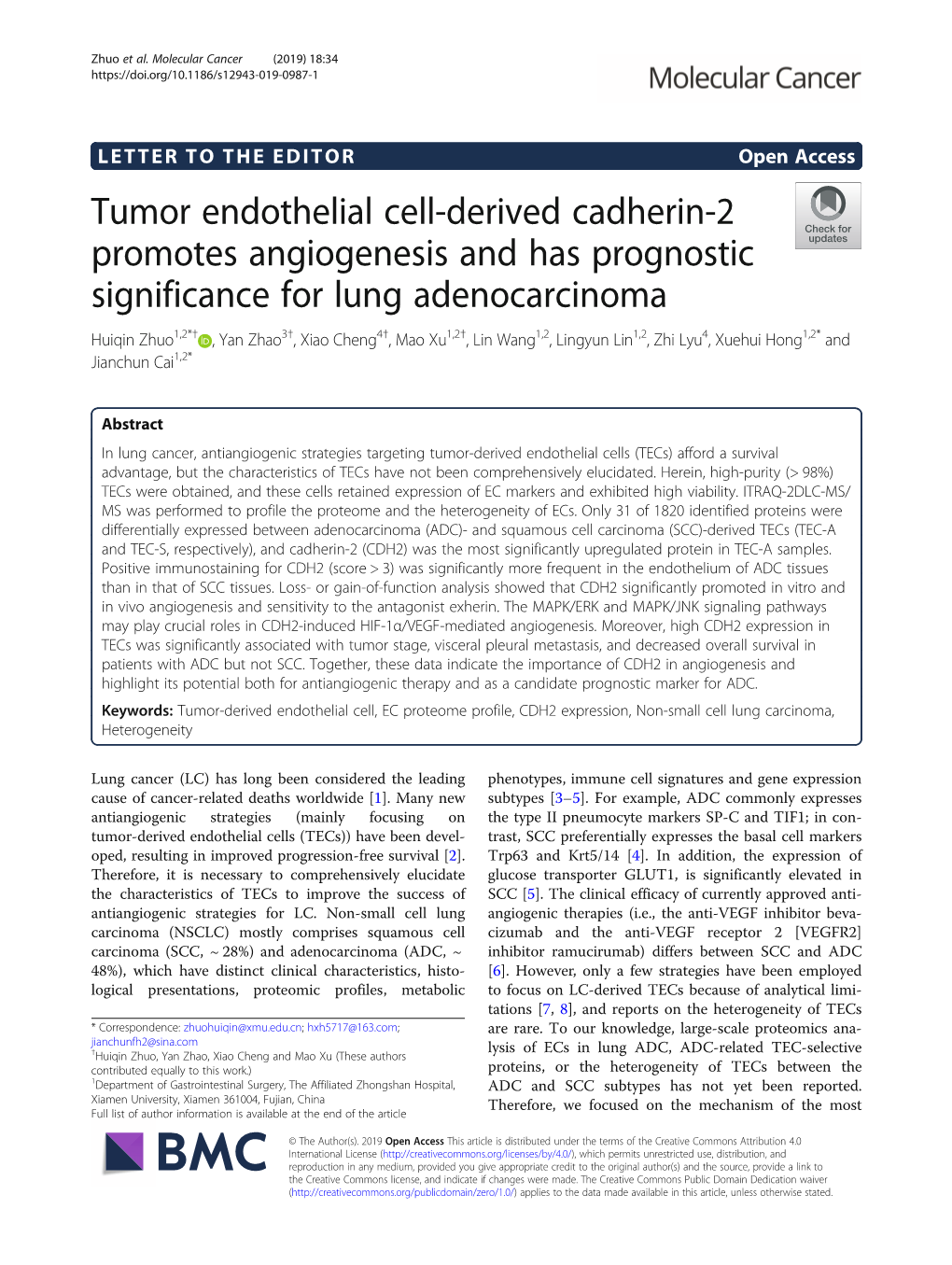 Tumor Endothelial Cell-Derived Cadherin-2 Promotes Angiogenesis