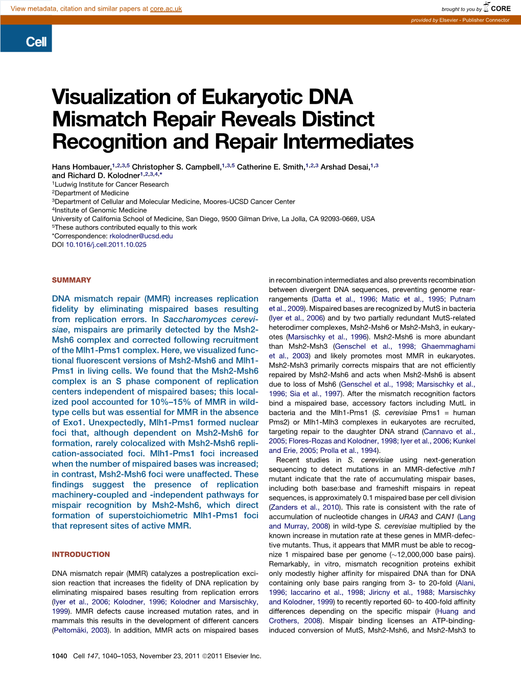 Visualization of Eukaryotic DNA Mismatch Repair Reveals Distinct Recognition and Repair Intermediates