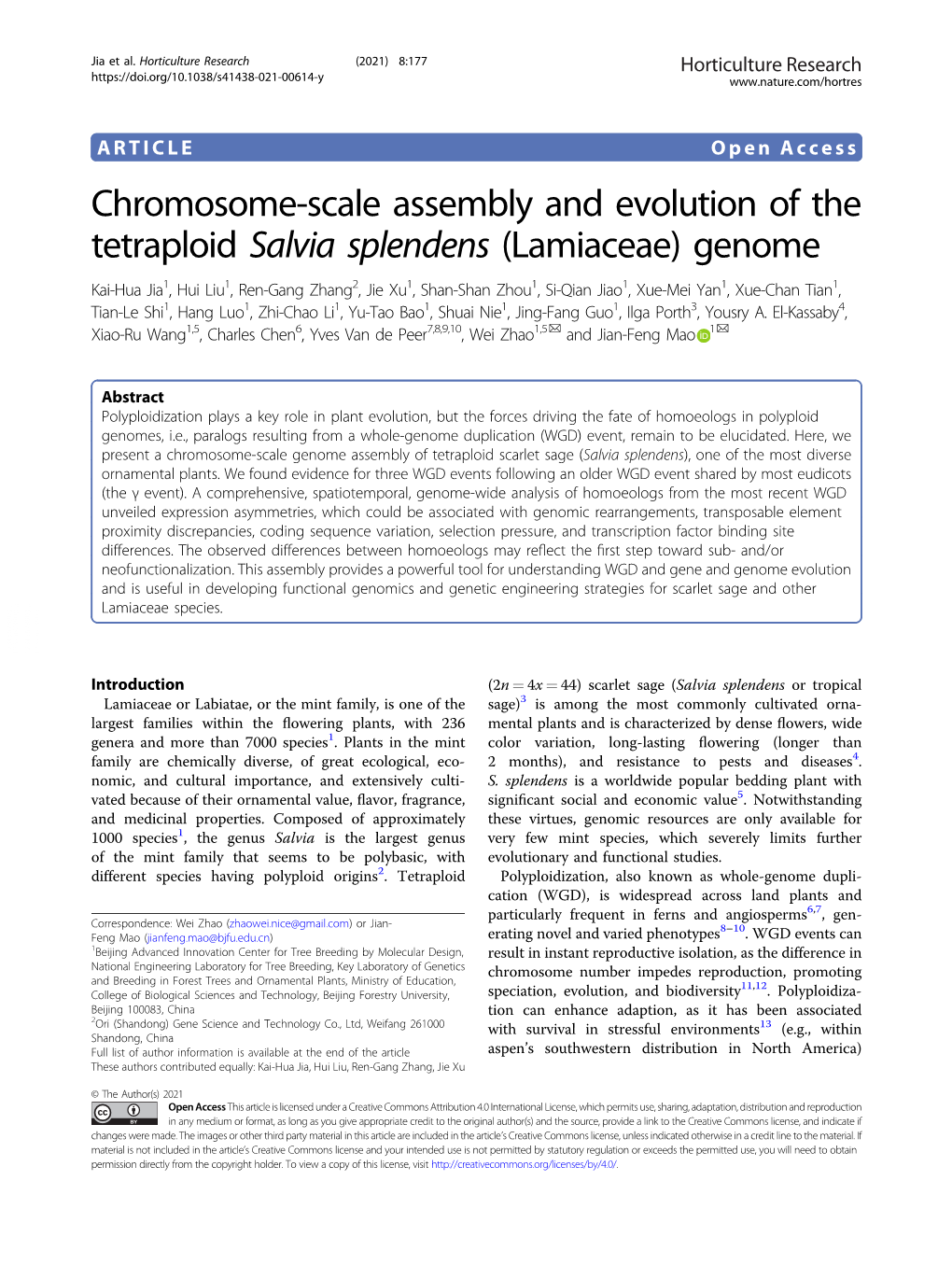 Chromosome-Scale Assembly and Evolution of the Tetraploid Salvia