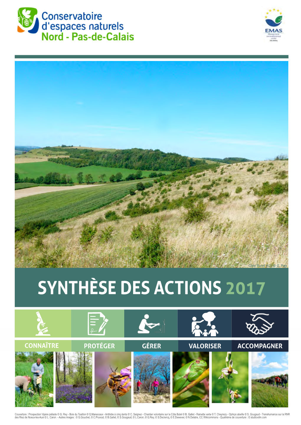 Synthèse Des Actions 2017