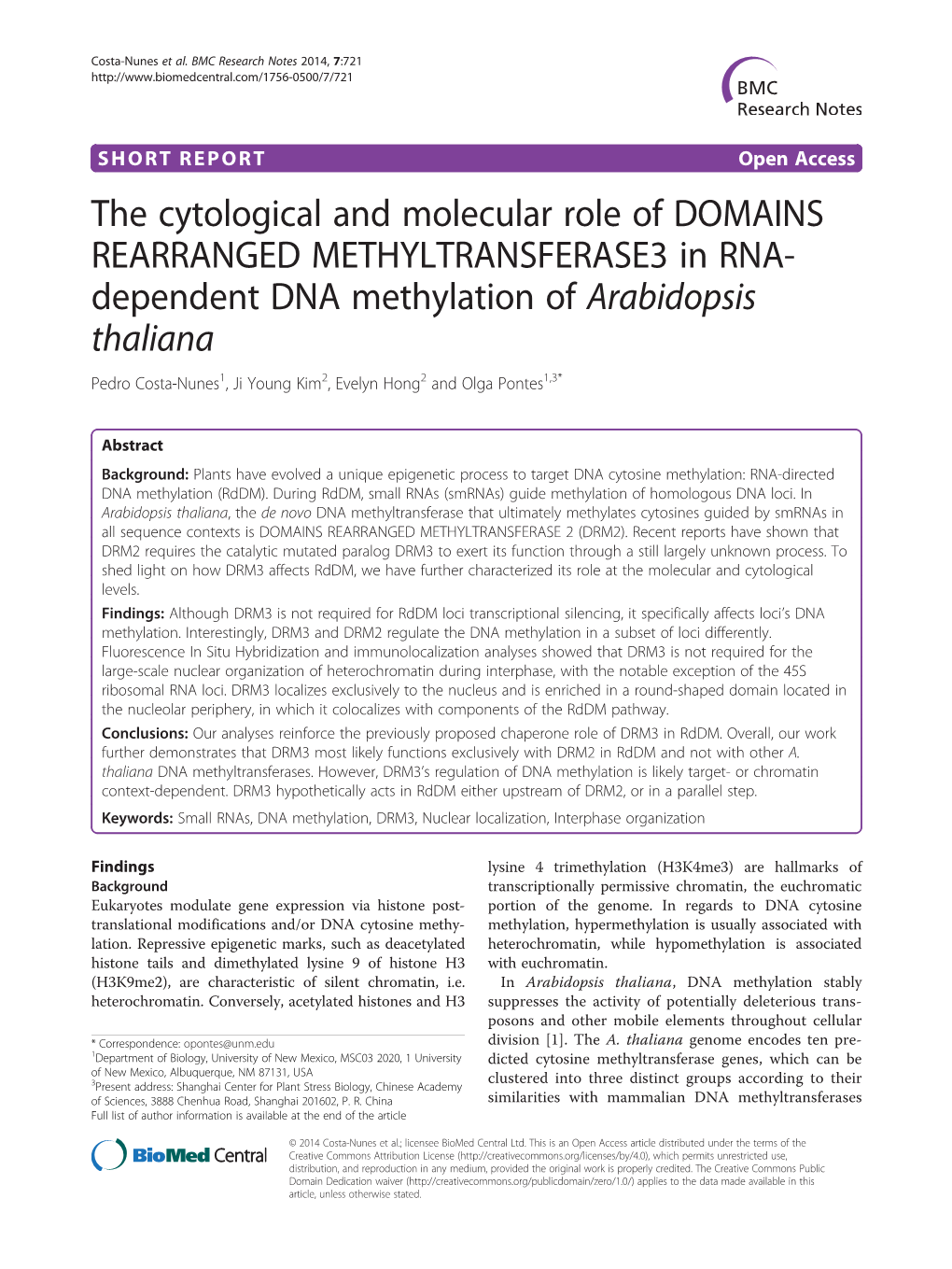 The Cytological and Molecular Role of DOMAINS REARRANGED METHYLTRANSFERASE3 in RNA- Dependent DNA Methylation of Arabidopsis Thaliana