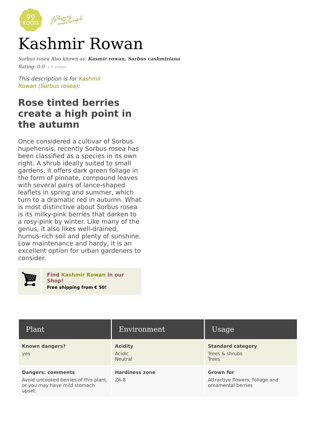 Kashmir Rowan Sorbus Rosea Also Known As: Kasmir Rowan, Sorbus Cashmiriana Rating: 0.0 ( 0 Votes)