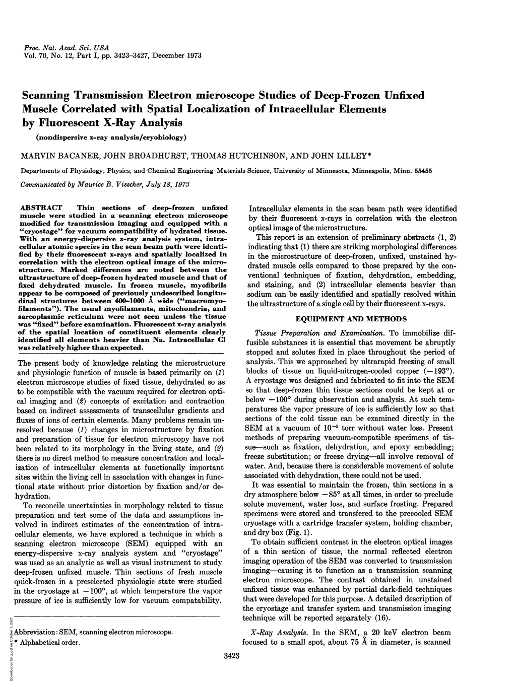 Muscle Correlated with Spatial Localization of Intracellular Elements