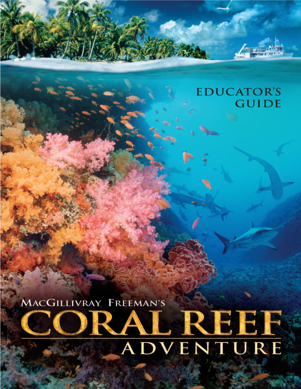 Coral Reefs, with Their Extraordinary Beauty, Bright Lighting the Coral Reefs from Around the World