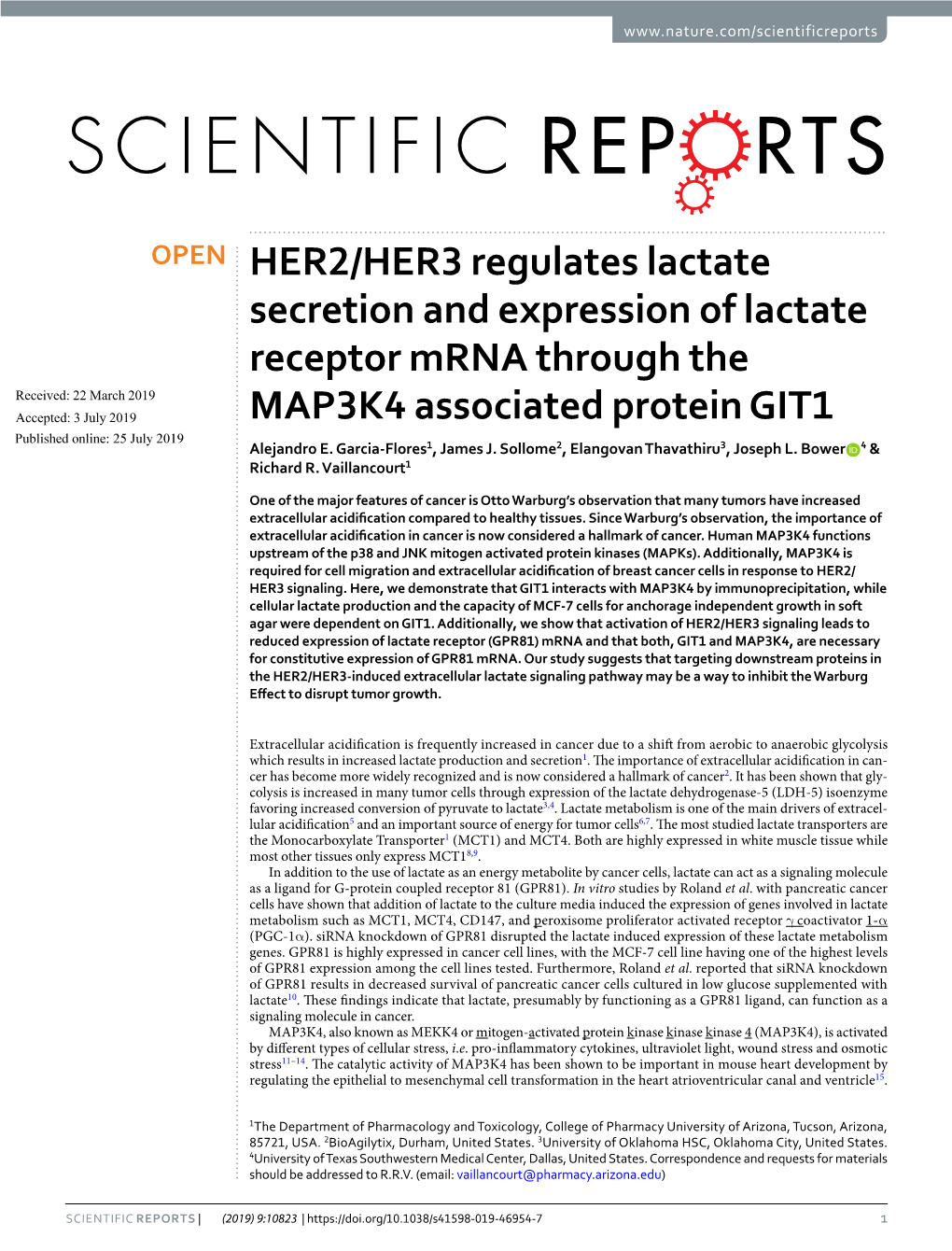 HER2/HER3 Regulates Lactate Secretion and Expression of Lactate