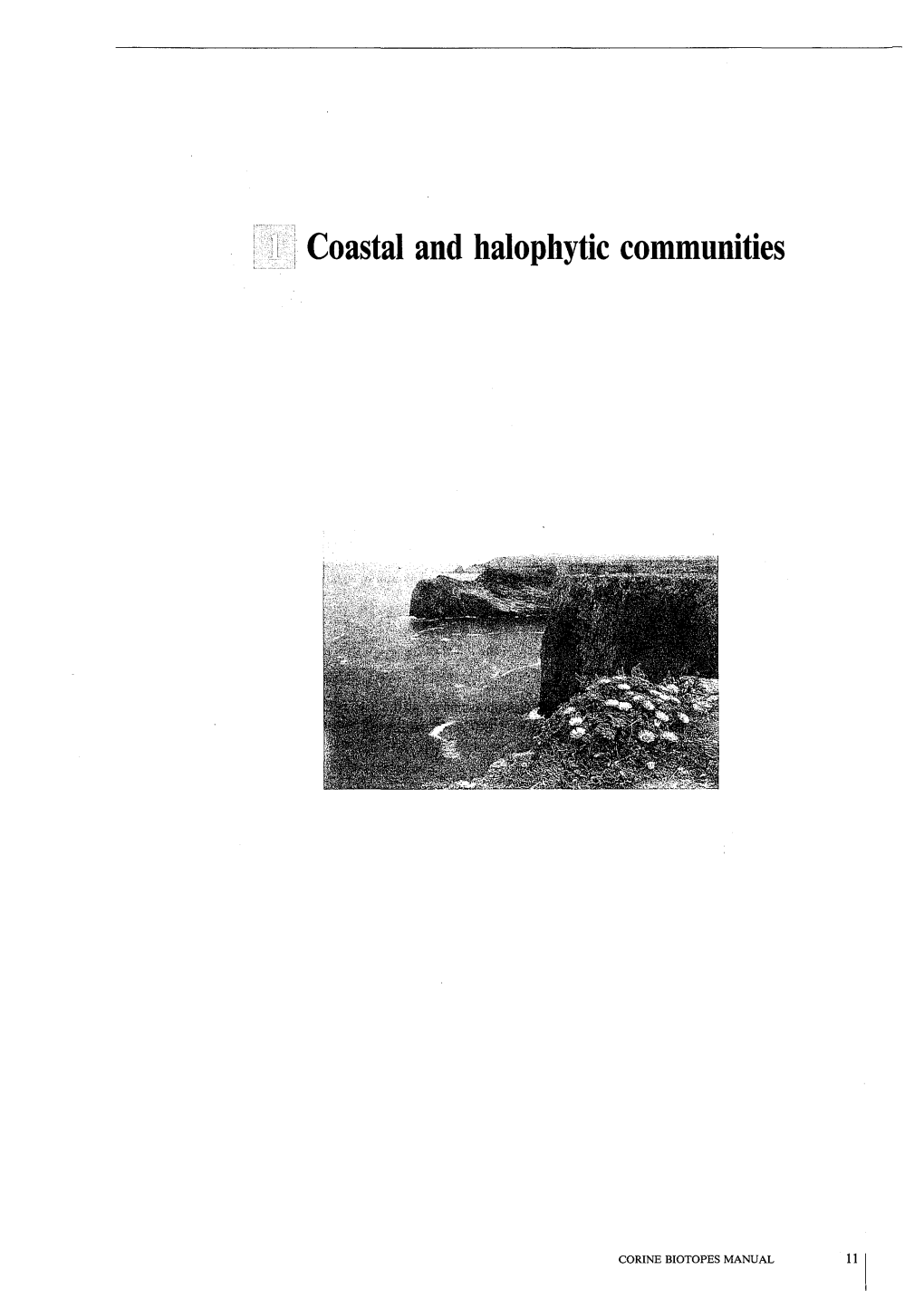 Coastal and Halophytic Communities