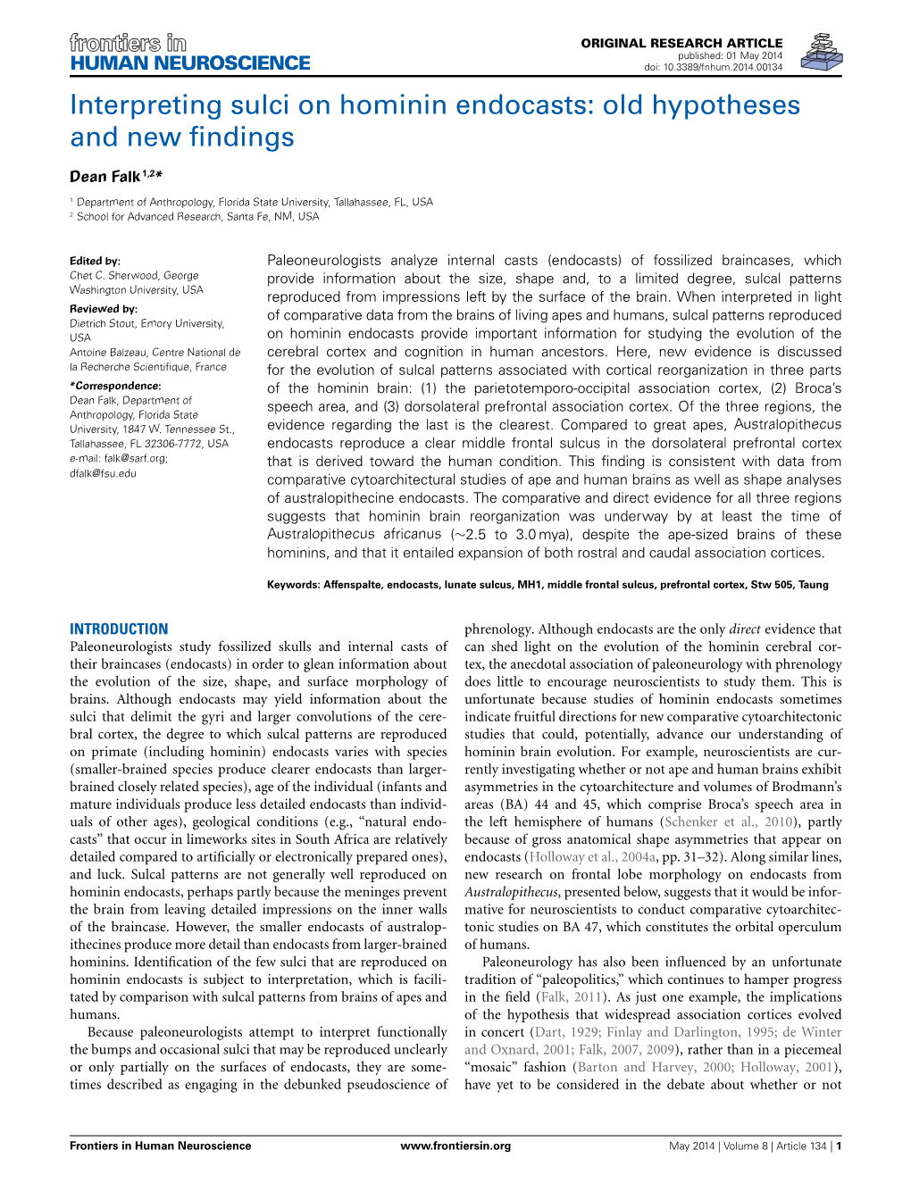 Interpreting Sulci on Hominin Endocasts: Old Hypotheses and New ﬁndings