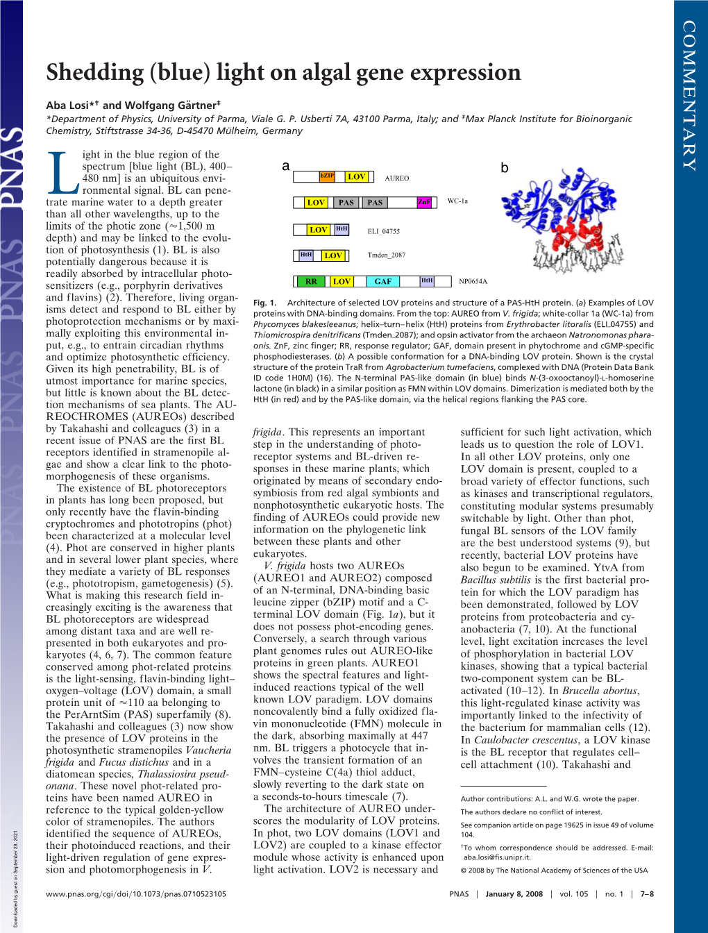 Light on Algal Gene Expression