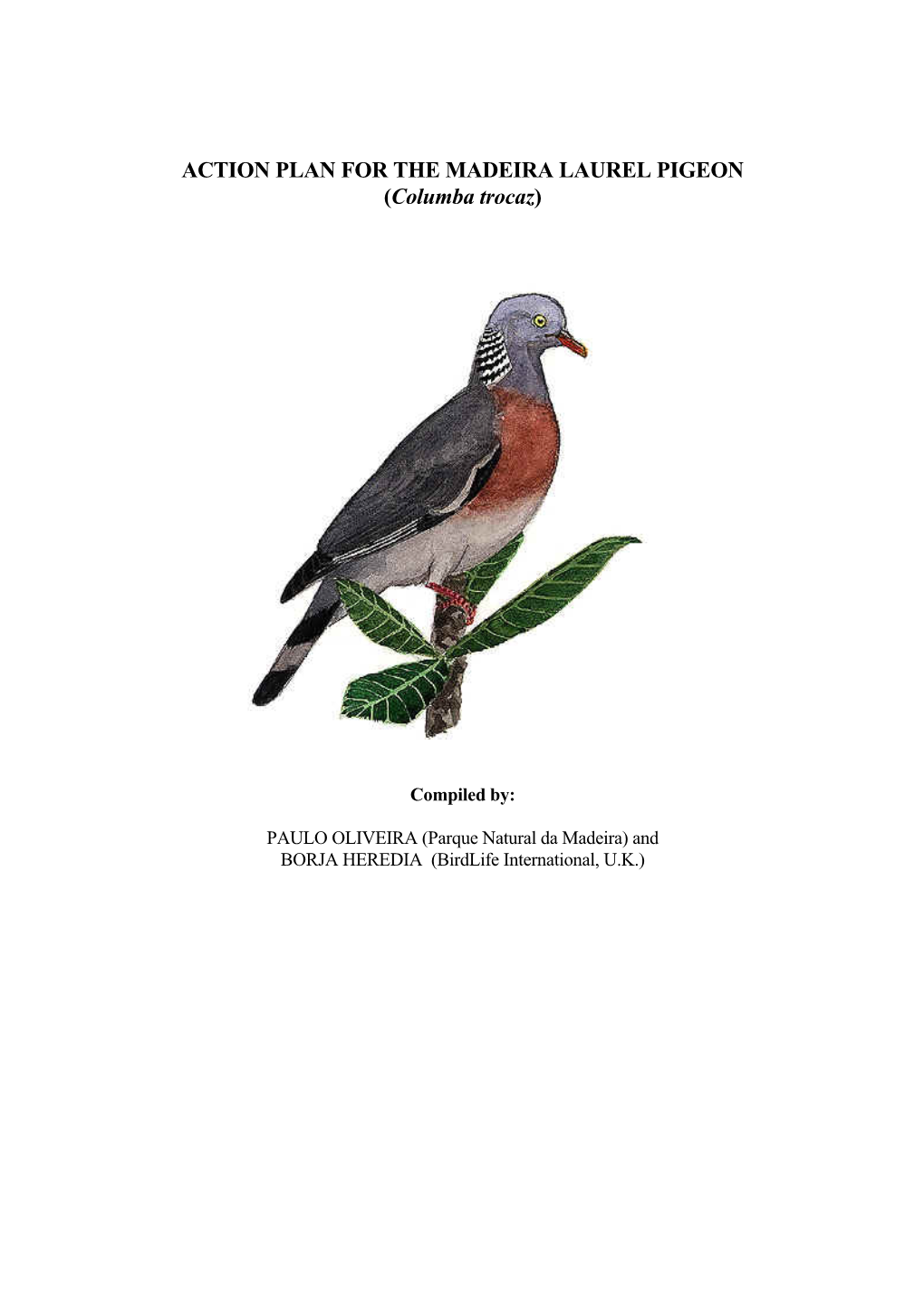 ACTION PLAN for the MADEIRA LAUREL PIGEON (Columba Trocaz)